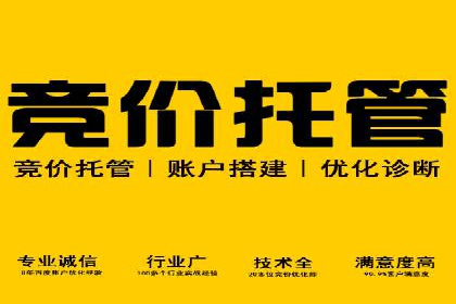 SEM推广代运营实战案例详解